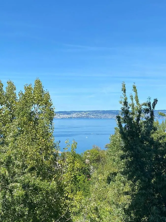 Vue Lac, Central Et Contemporain Évian-les-Bains